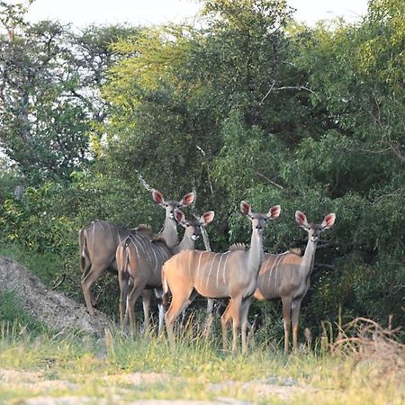Ngangane Lodge & Reserve Francistown Exterior photo