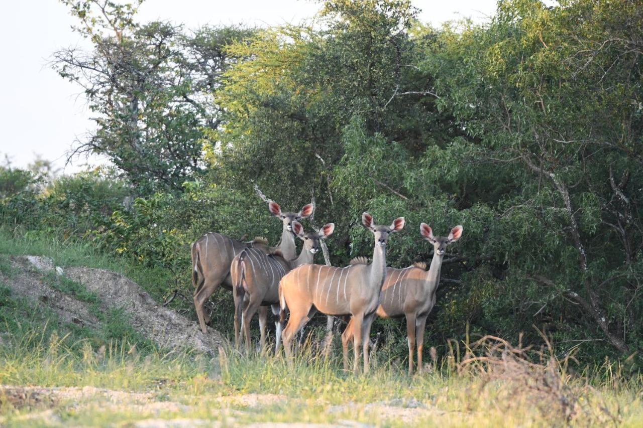 Ngangane Lodge & Reserve Francistown Exterior photo