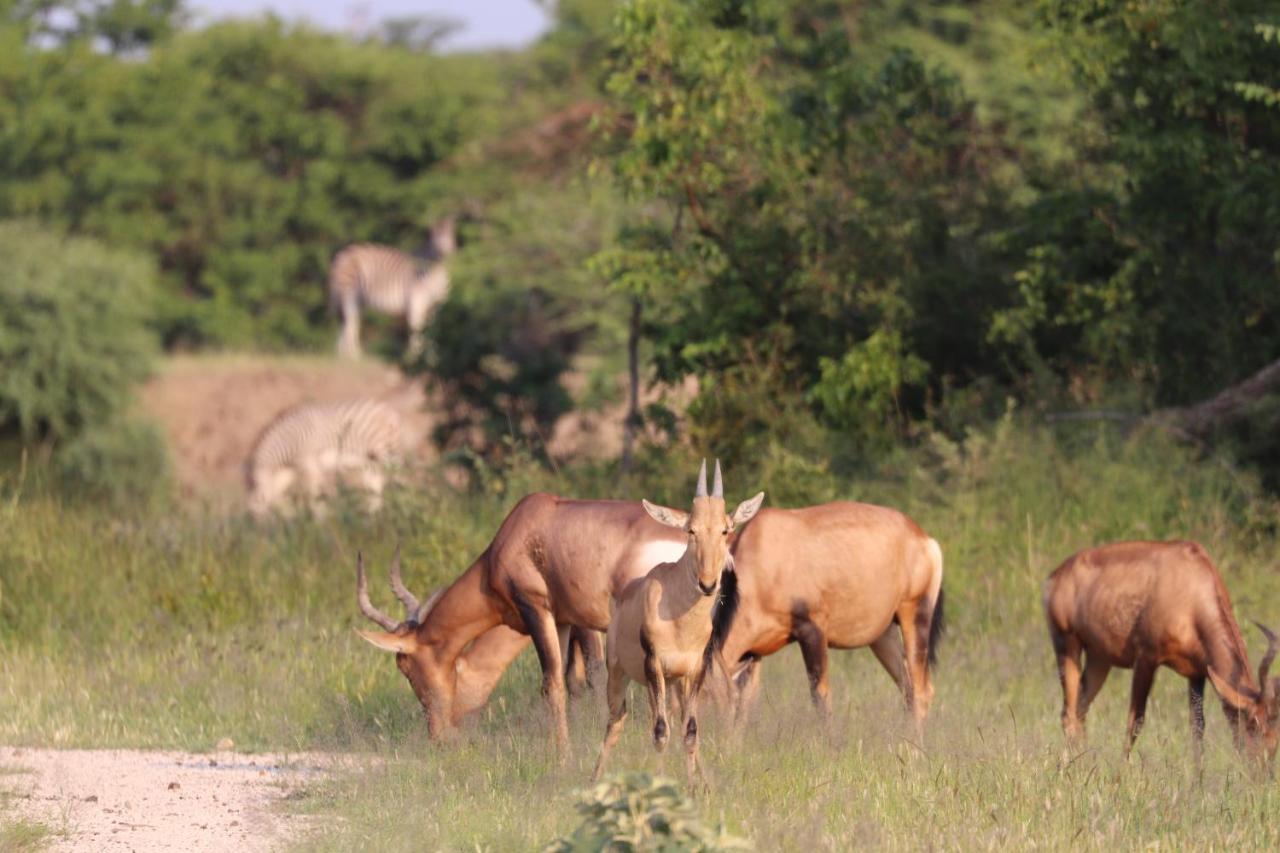 Ngangane Lodge & Reserve Francistown Exterior photo